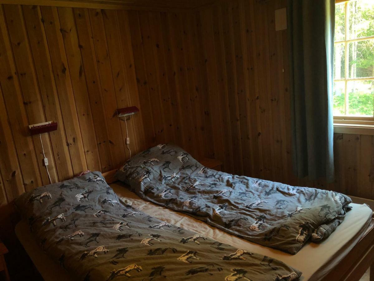 Sjoaasen Hytte Tuddal Экстерьер фото